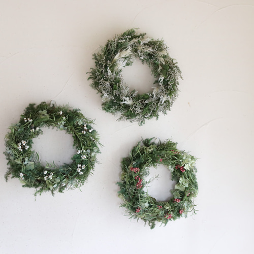 大きめ針葉樹のリース ＊ ホワイト ドライフラワー クリスマスリース