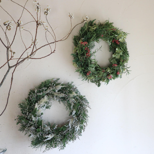 大きめ針葉樹のリース ＊ ホワイト ドライフラワー クリスマスリース