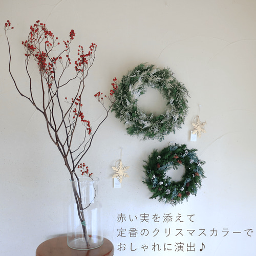 大きめ針葉樹のリース ＊ ホワイト ドライフラワー クリスマスリース