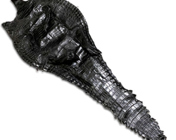 871534028226f54738dc4f34c5dcc3