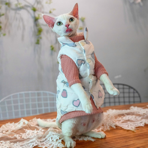 猫服 ペット服 ネコ 猫心柄コートセット スフィンクス ダウンジャケット セーターインナー 暖かい 厚手 防寒 冬 5枚目の画像