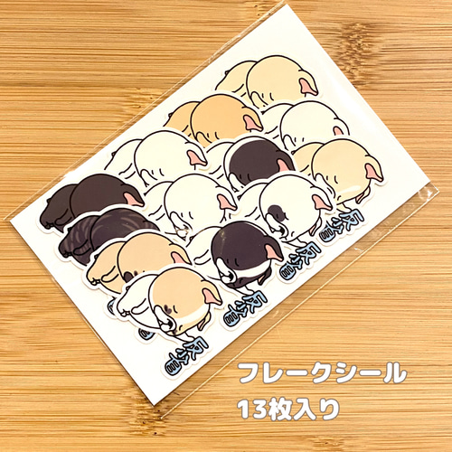 Q | . おはようございます🌼 Qちゃん、あなたは何故裸なのですか