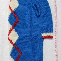 〈お年玉セール〉下記より2割引❤️犬用　手編み　ブルー地、白ひし形、赤線入りセーター 4枚目の画像