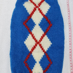 〈お年玉セール〉下記より2割引❤️犬用　手編み　ブルー地、白ひし形、赤線入りセーター 2枚目の画像