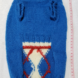 〈お年玉セール〉下記より2割引❤️犬用　手編み　ブルー地、白ひし形、赤線入りセーター 3枚目の画像