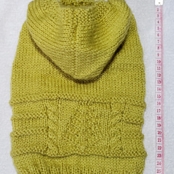 〈お年玉セール〉下記より2割引❤️犬用　手編み　ツリー模様編み　フード付きセーター 2枚目の画像