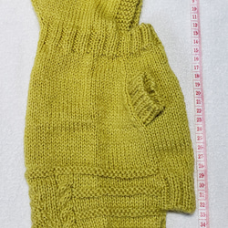 〈お年玉セール〉下記より2割引❤️犬用　手編み　ツリー模様編み　フード付きセーター 5枚目の画像