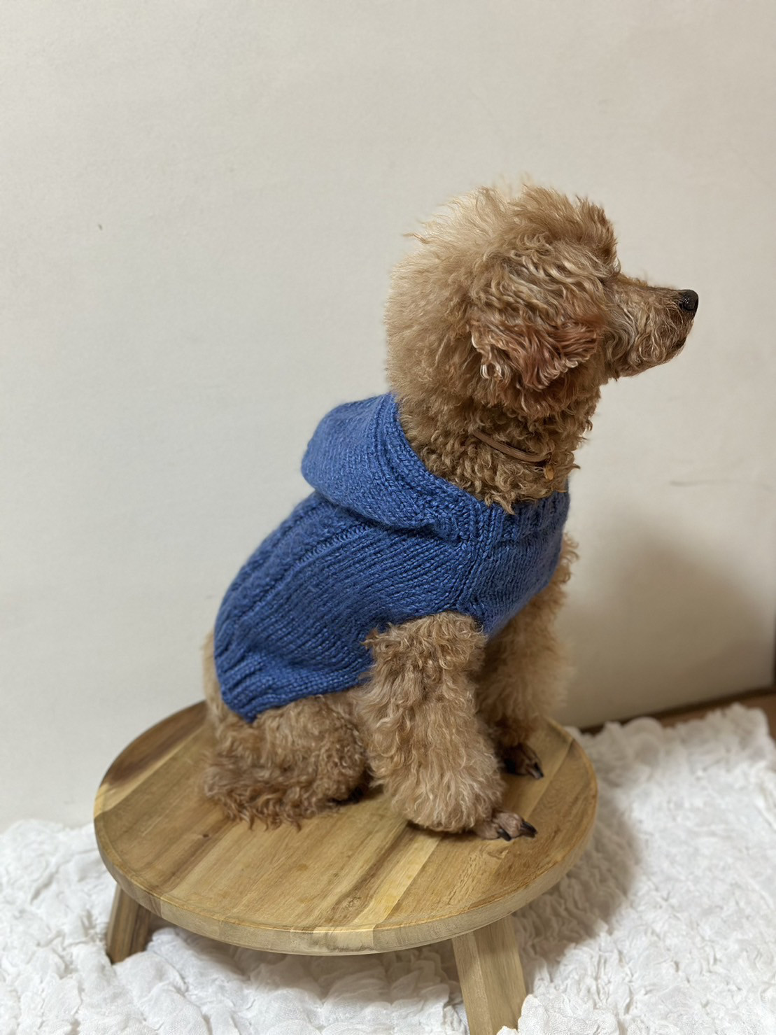 犬服　ハンドメイド　お問合せ用ページ SESAMI STREET ビッグバードアップリケトレーナー ペット用品