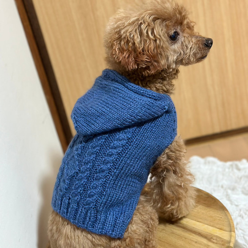 お年玉セール〉下記より2割引❤️犬用 手編み 青色模様編みフード付き