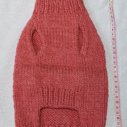 〈お年玉セール〉下記より2割引❤️犬用　手編み　赤地、白花ベルト付きセーター 3枚目の画像