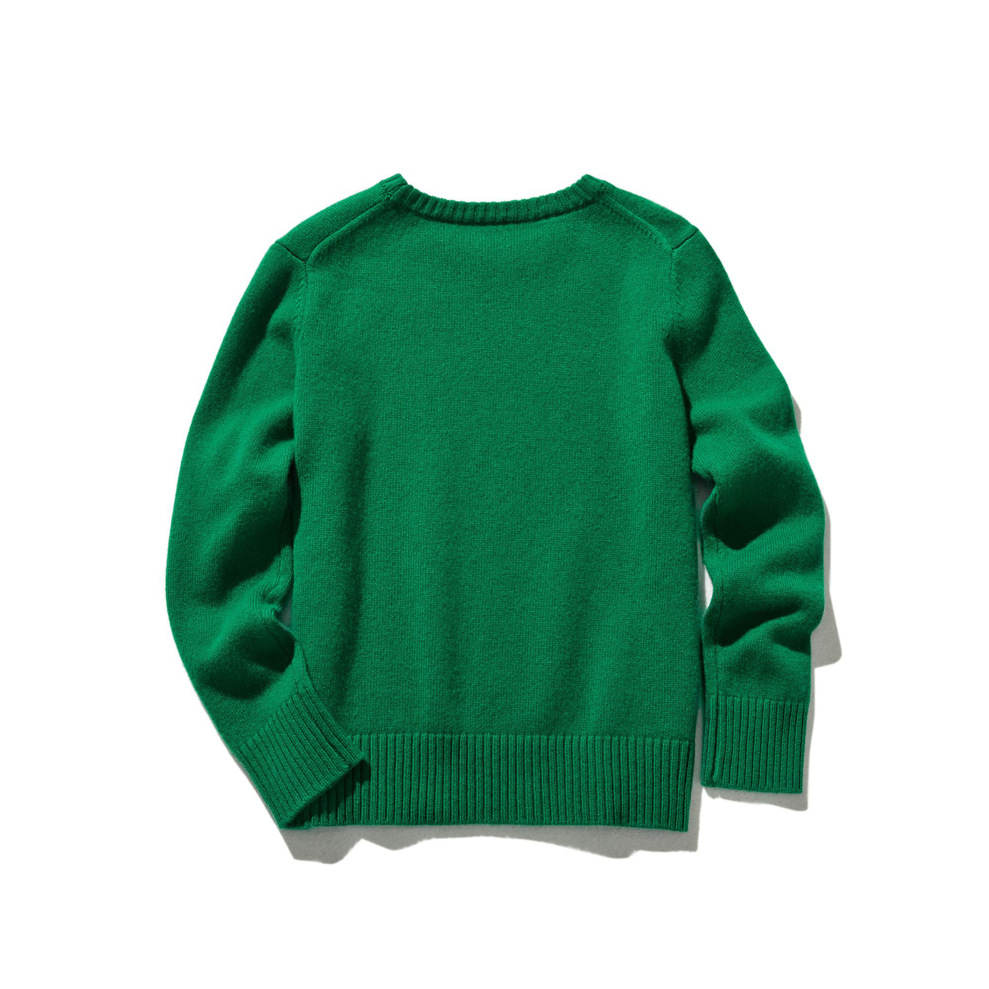 毎日だって着たくなる メリノウールを100％使用セーター　プルオーバー　グリーン　231102-4