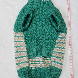 〈お年玉セール〉下記より2割引❤️犬用　手編み　緑、白、薄茶、模様編み　縞模様セーター 3枚目の画像