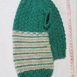 〈お年玉セール〉下記より2割引❤️犬用　手編み　緑、白、薄茶、模様編み　縞模様セーター 4枚目の画像