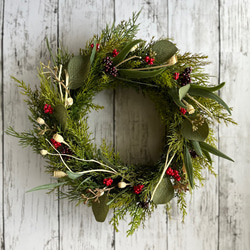 ヒノキとユーカリのリース(アーティフィシャル 26cm) リース rhyme_752