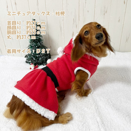 友 様専用 ꒡̈⃝Lily꒡̈⃝犬服ハンドメイド ☆Xmas 犬 クリスマス 服