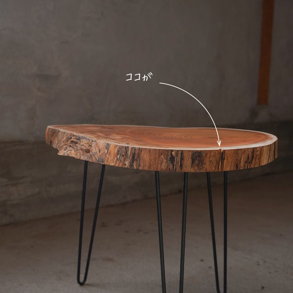 欅の輪切り コーヒーテーブル④（高さ・カラー変更無料） 7枚目の画像