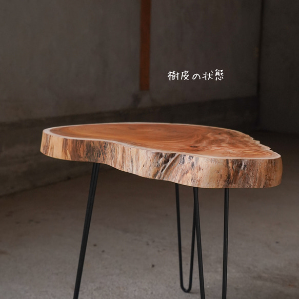 欅の輪切り コーヒーテーブル④（高さ・カラー変更無料） 5枚目の画像