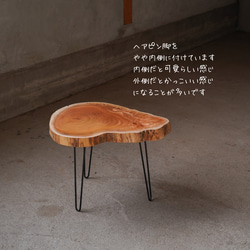 欅の輪切り コーヒーテーブル④（高さ・カラー変更無料） 3枚目の画像