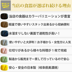 ランチプレート 四角 21cm 16color / r161 2枚目の画像