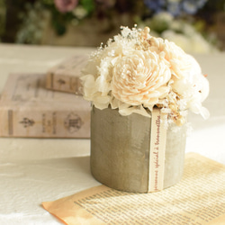 ウッドショッパーズ～sweet～ プリザーブドフラワー 花結 通販