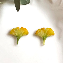 イチョウ 銀杏 黄色オレンジ系 ピアス/イヤリング ＊アレルギー対応有り＊ 秋 3枚目の画像