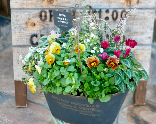 a11408eb43f6e787e671b6ec3bf5fd