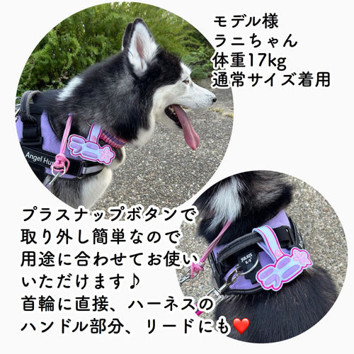 ユリウスk9☆ネームタグ☆ネームラベル☆迷子札 リード・首輪