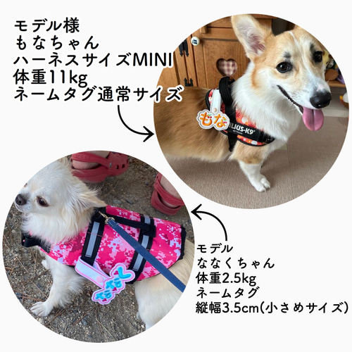 ユリウスk9☆ネームタグ☆ネームラベル☆迷子札 リード・首輪