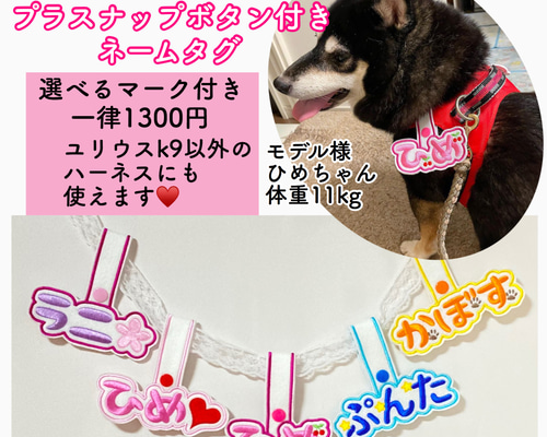 694a2ab1db2f264b685ede1409c508