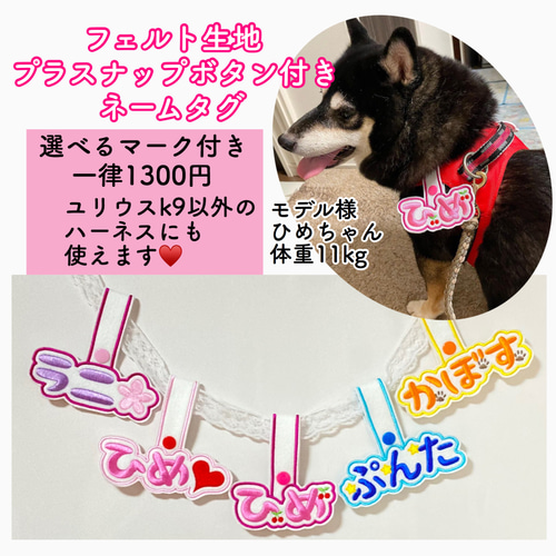 ユリウスk9☆ネームタグ☆ネームラベル☆迷子札 リード・首輪 ユリウスk9☆ネームタグ☆ネームラベル☆迷子札 リード・首輪