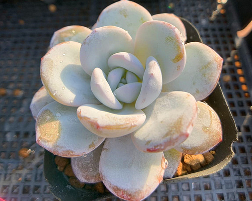 2f327f9407f04c8c5ab800a042a75d  