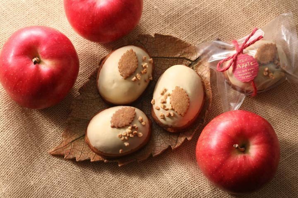 ☆完売御礼☆クリスマス焼菓子いろいろＢＯＸ☆カカオ・マロン・レモン・りんご 10枚目の画像