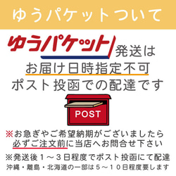 トイプードルトートバッグ 名入れ無料 ふわふわトイプードルMサイズトートバッグ全2色 プリントカラー各3色 綿100％ 10枚目の画像