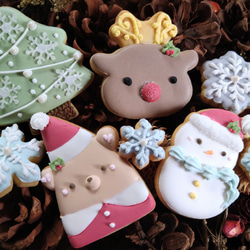 アイシングクッキー クリスマス5枚入り クッキー Grace 通販 16911471