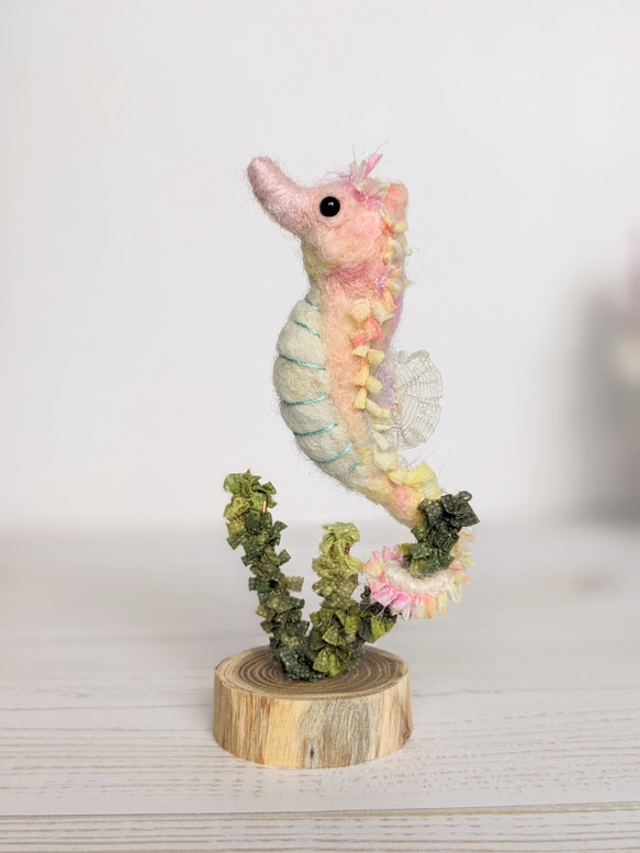 【新品】天然珊瑚サンゴ 剥製 タツノオトシゴ 貝殻 ヒトデ 2kg以上 天然珊瑚サンゴ 剥製 タツノオトシゴ 貝殻 ヒトデ 2kg以上