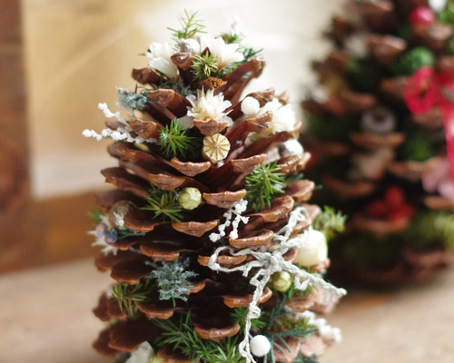 def9c6f5ff5d8eea8007657341e339