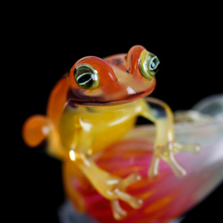 Frog（カエル）ファナネックレス504 4枚目の画像