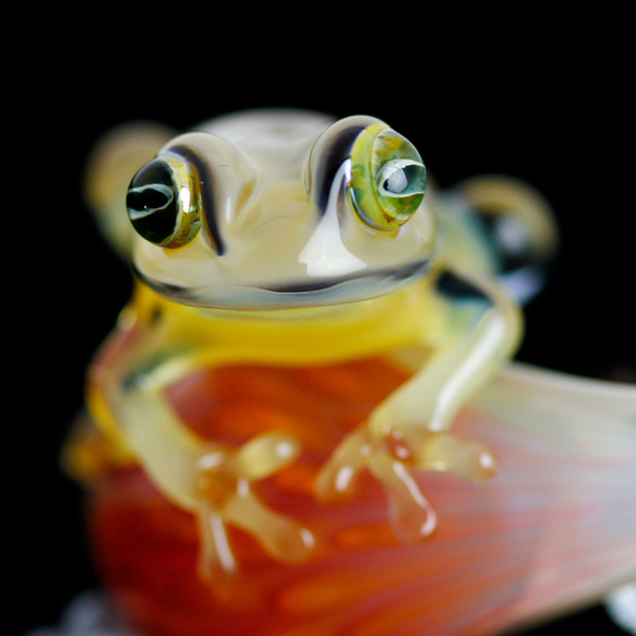 Frog（カエル）ファナネックレス505 5枚目の画像