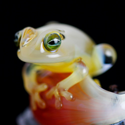 Frog（カエル）ファナネックレス505 4枚目の画像