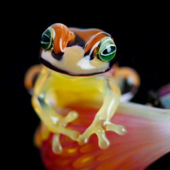 Frog（カエル）ファナネックレス506 1枚目の画像