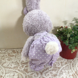 ステラルー　紫水玉柄ロンパース　 ダッフィー コスチューム 服 6枚目の画像