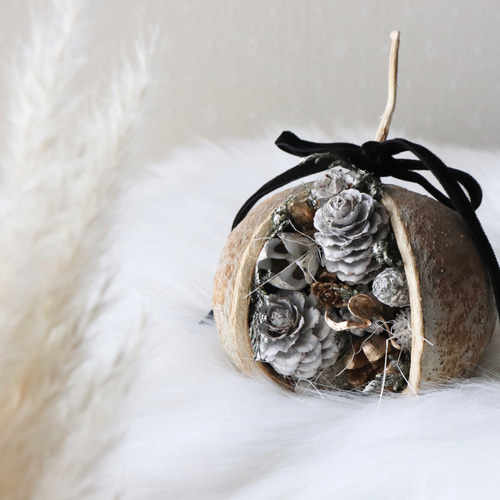 ✳︎木の実の置き飾り✳︎ ドライフラワー HELLO FLOWER 通販