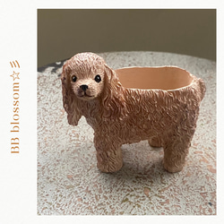 【犬ページ】北欧 植木鉢 陶器鉢 お買い得 多肉植物 鉢植えセール 植木鉢 木目 鉢 お城 民家 ハウス 多肉植物 寄せ植えに最適