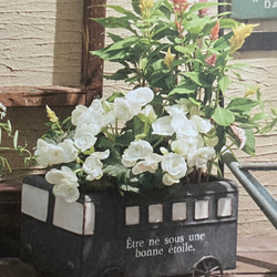 《可愛いバス型 ブリキ鉢》観葉植物 多肉植物 お花の寄せ植えに ガーデニング ビオラ パンジー アンティーク 450 2枚目の画像