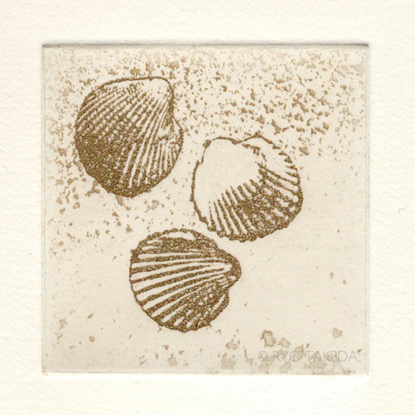 版画ゆうびん no.21"shells"| 銅版画 | 砂浜の貝 2枚目の画像