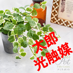 光触媒 人工観葉植物 ウォールグリーン フェイクグリーン 光触媒 人工観葉植物 ウォールグリーン フェイクグリーン