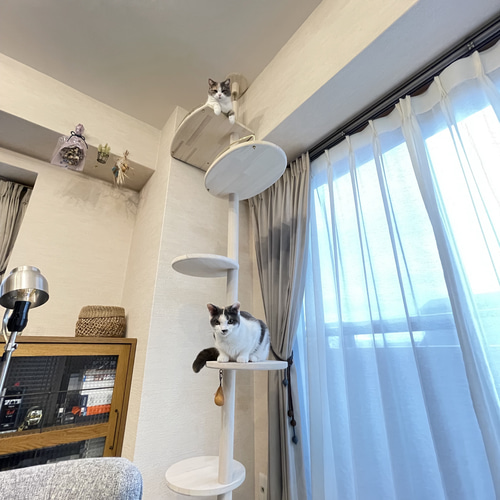 人気新品 ブラス製手すり付き！ インテリアにとけこむおしゃれな キャットタワー