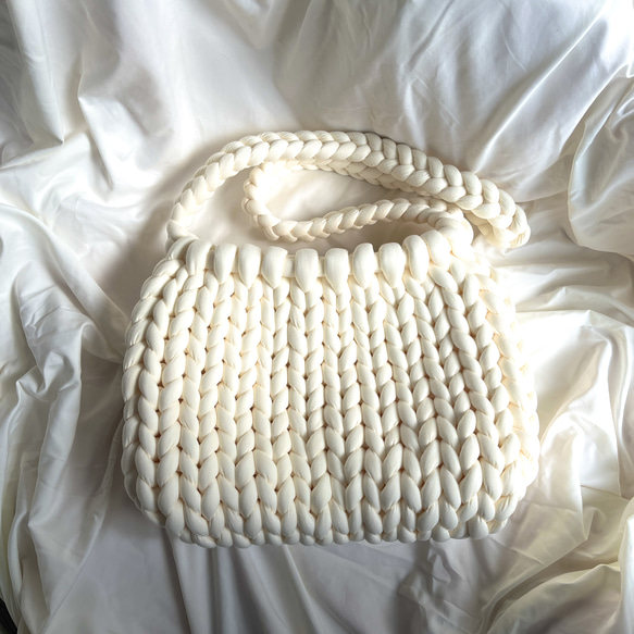 がんちゃん大好き様　専用　マンドゥバッグ 3枚目の画像