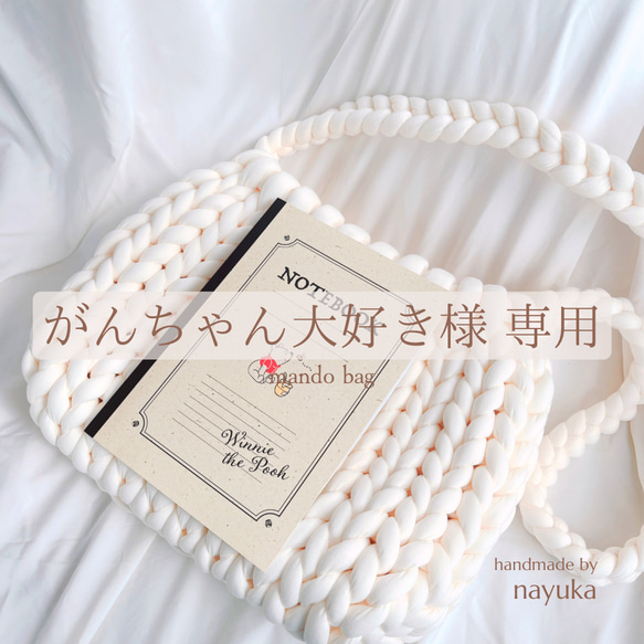 がんちゃん大好き様　専用　マンドゥバッグ 1枚目の画像