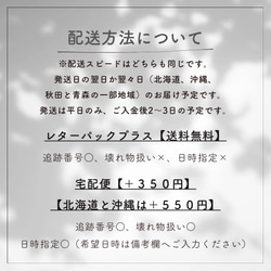 ご専用　欠品のつまみ細工をボルドーに変更　【送料無料】T12  つまみ細工　ドライフラワー　髪飾り　赤　卒業式　 3枚目の画像